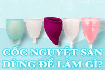 cốc nguyệt san dùng để làm gì?