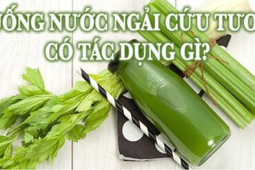 Uống nước ngải cứu tươi có tác dụng gì?